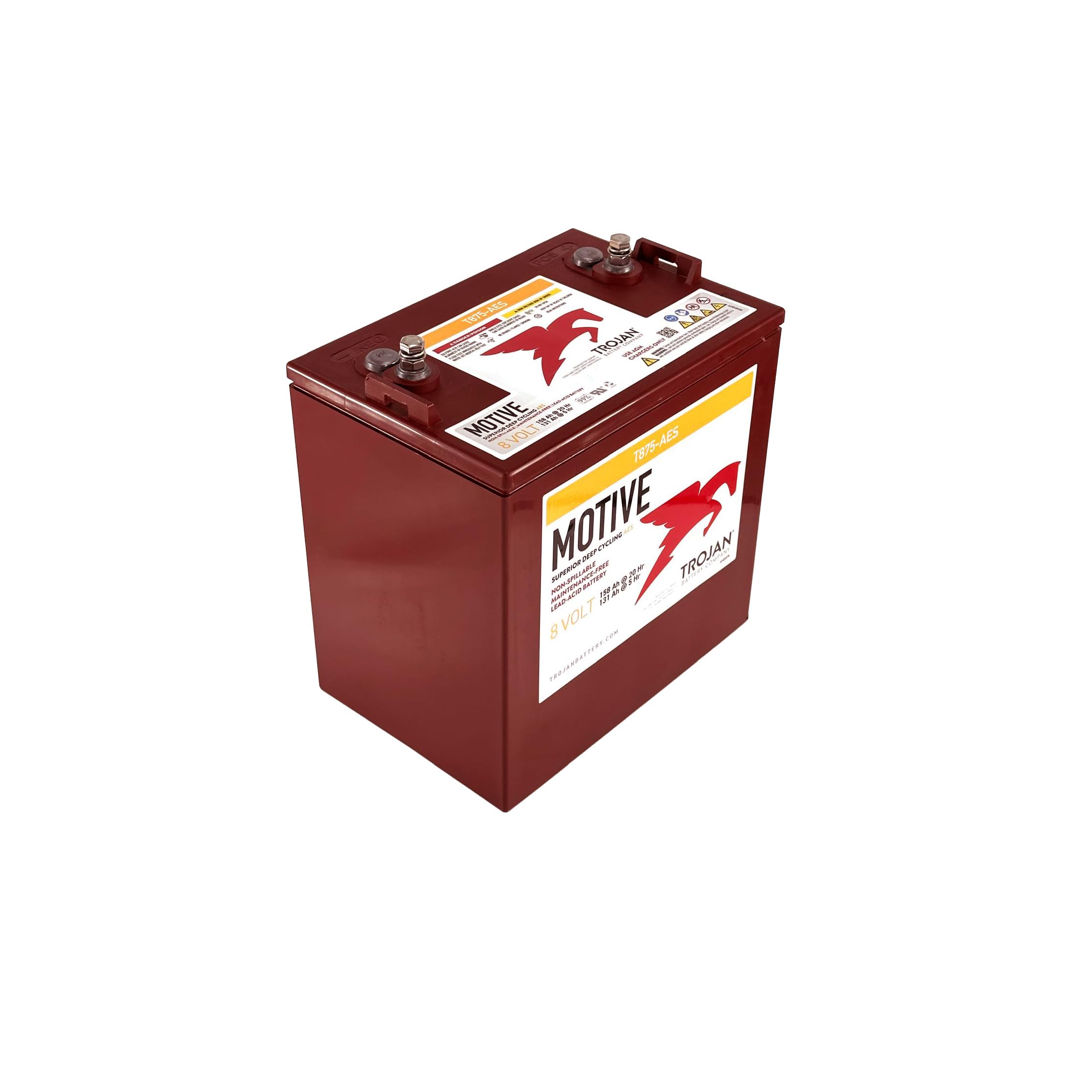 Amazon.com: Trojan T875-AES 8V 158Ah VRLA AGM Battery (Set of 6